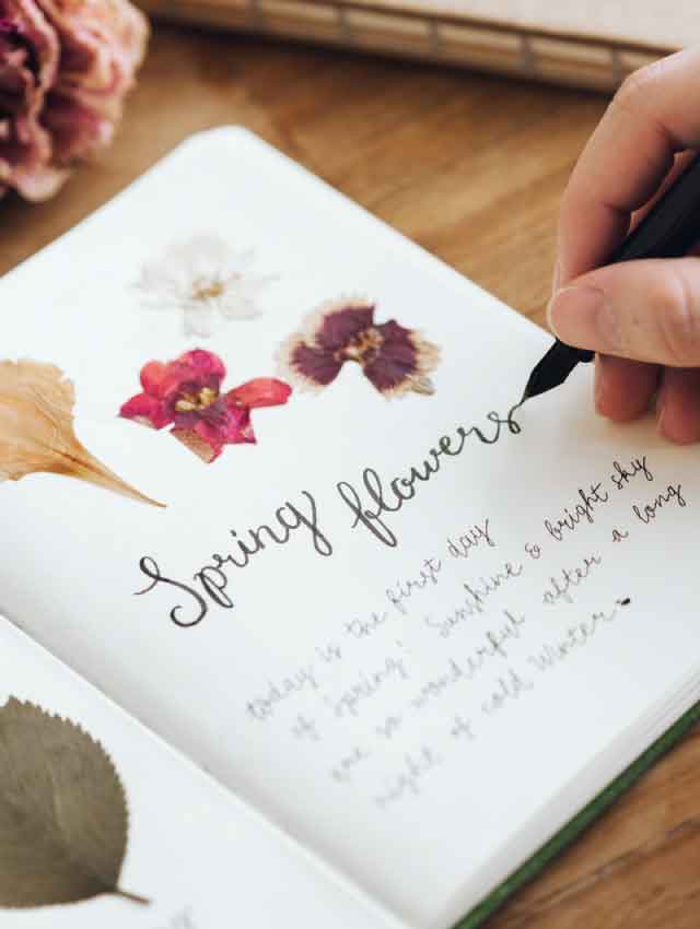 Cuadernos de Flores Secas