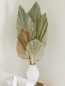 Hojas de Palmera Secas