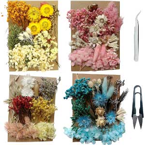 Flores secas para Invitaciones - En Flores a Secas