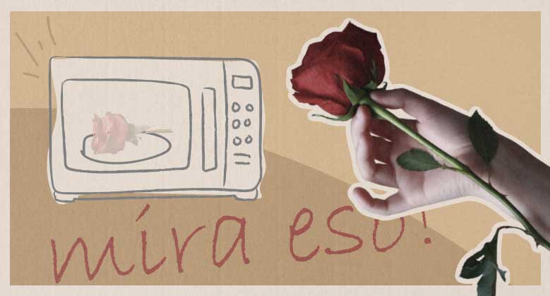 ¿Cómo secar una rosa en microondas, horno o deshidratador?