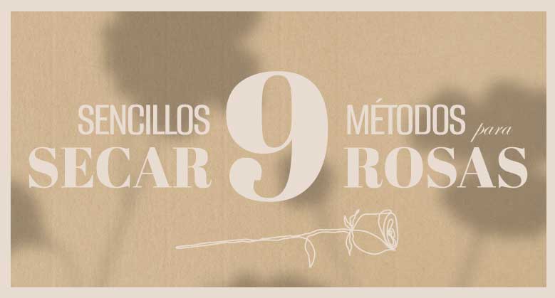Cómo secar rosas naturales para guardar.