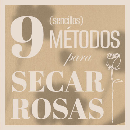 Descubre como poner rosas a secar.