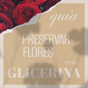 Método para secar flores con glicerina vegetal en casa.