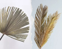 ¿Qué hojas de palmera están de moda o son tendencia en decoración?
