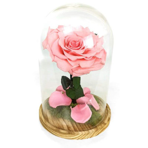 Rosas en caja de cristal.