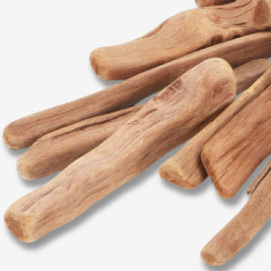 Ramas de madera para jardín vertical eterno.