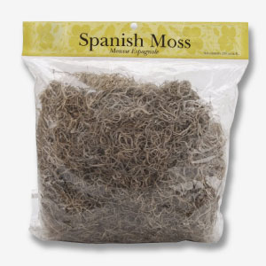 Musgo colgante para jardines verticales eternos.