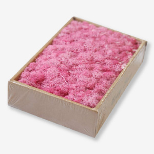 Comprar musgo natural preservado.