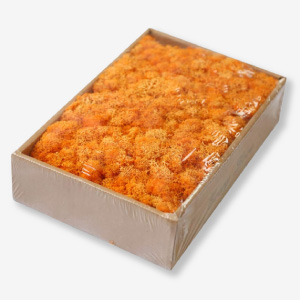 Musgo liofilizado para decoración y manualidades.