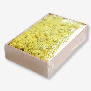 Musgo natural preservado para decoración.
