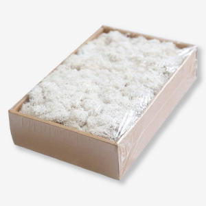 Musgo polar liofilizado para decoración y artesanía.