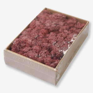 Musgo preservado para decoración y manualidades.