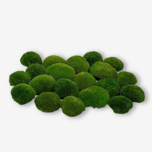 Musgo bola para jardines verticales.