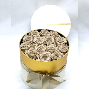 Rosas Liofilizadas champán.