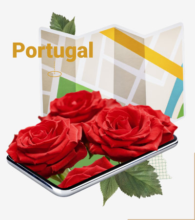 Rosas preservadas em Portugal.