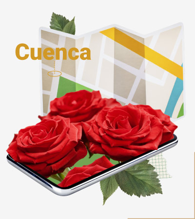 Rosas eternas Cuenca.