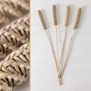 Adornos para hierbas de pampas grass.