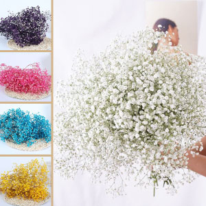 Flores preservadas.