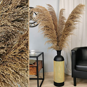 Pampas decorativas grandes.