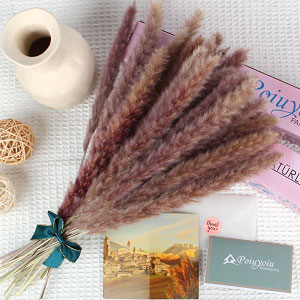 Pampas grass natuarles.