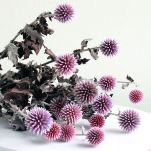 Flores secas tipos, con imágenes y descripción.