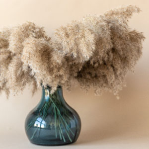 Tipos de flores secas para decoración.